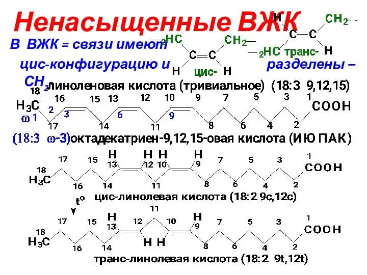 Ненасыщенные ВЖК В ВЖК = связи имеют цис-конфигурацию и разделены –СН2-