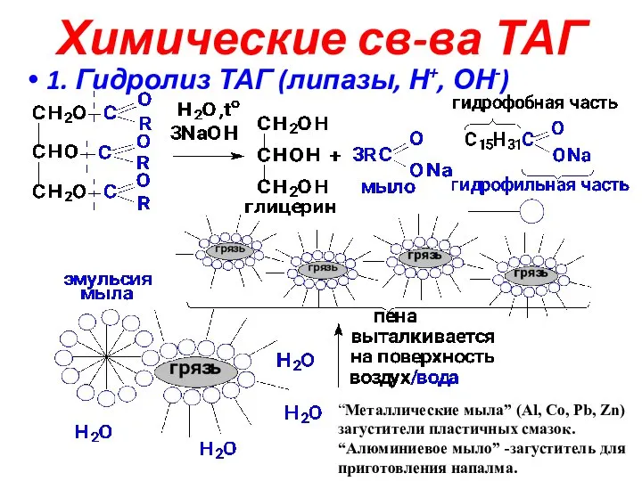 Химические св-ва ТАГ 1. Гидролиз ТАГ (липазы, Н+, ОН-) “Металлические мыла”