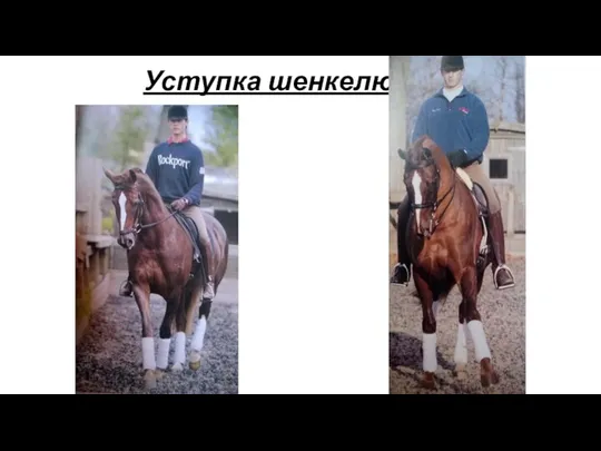 Уступка шенкелю