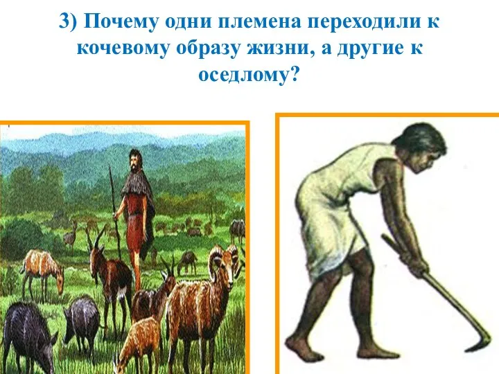 3) Почему одни племена переходили к кочевому образу жизни, а другие к оседлому?