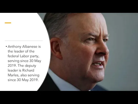 Anthony Albanese is the leader of the federal Labor party, serving