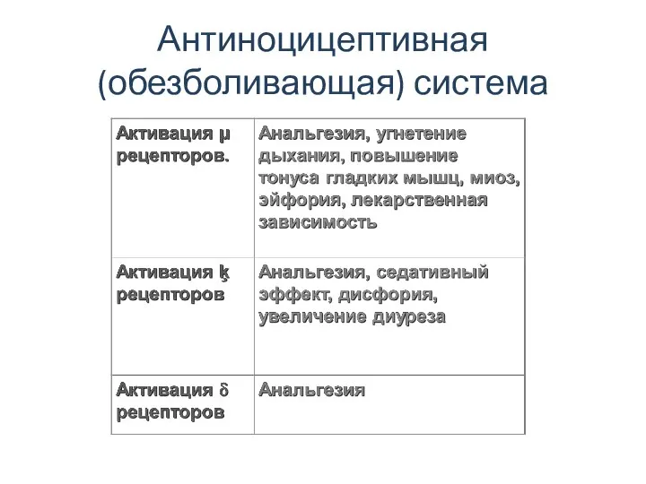 Антиноцицептивная (обезболивающая) система