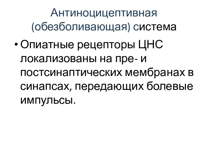 Антиноцицептивная (обезболивающая) система Опиатные рецепторы ЦНС локализованы на пре- и постсинаптических