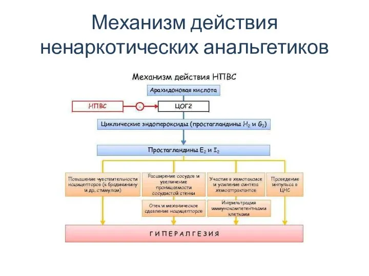 Механизм действия ненаркотических анальгетиков