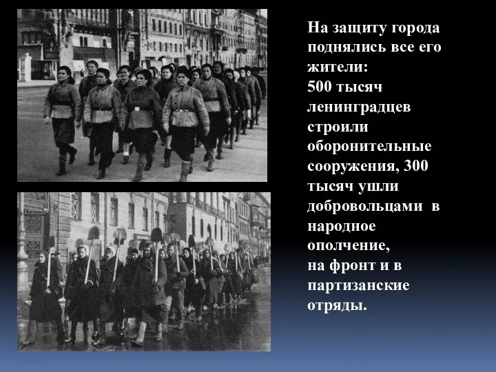 На защиту города поднялись все его жители: 500 тысяч ленинградцев строили