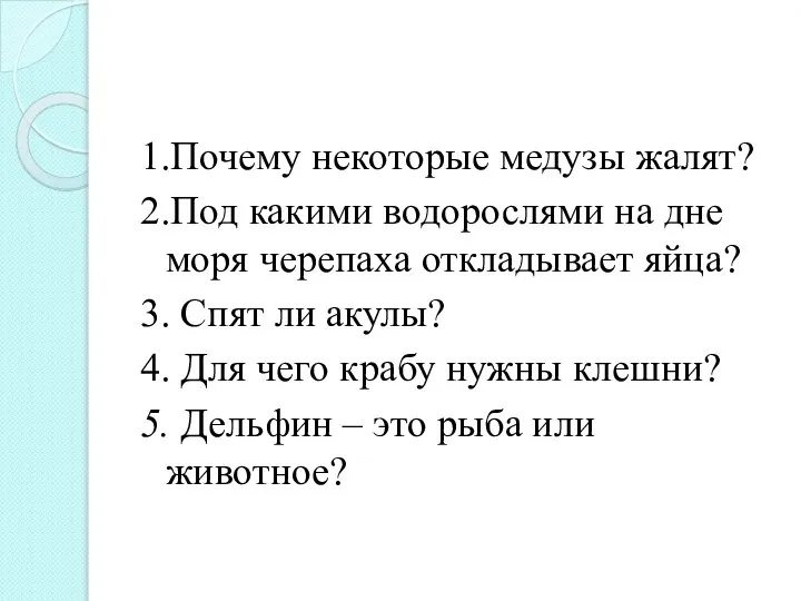 1.Почему некоторые медузы жалят? 2.Под какими водорослями на дне моря черепаха