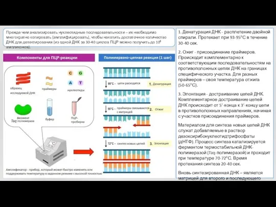 1. Денатурация ДНК - расплетение двойной спирали. Протекает при 93-95оС в