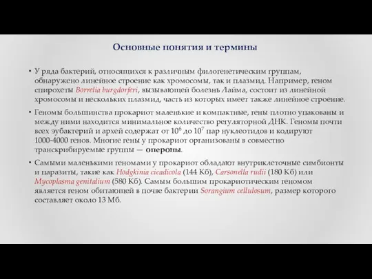 У ряда бактерий, относящихся к различным филогенетическим группам, обнаружено линейное строение