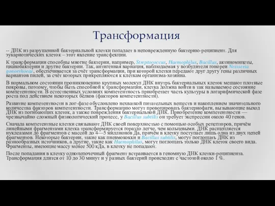 Трансформация -- ДНК из разрушенной бактериальной клетки попадает в неповрежденную бактерию-реципиент.