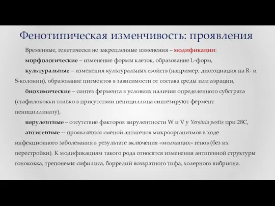 Фенотипическая изменчивость: проявления Временные, генетически не закрепленные изменения – модификации: морфологические