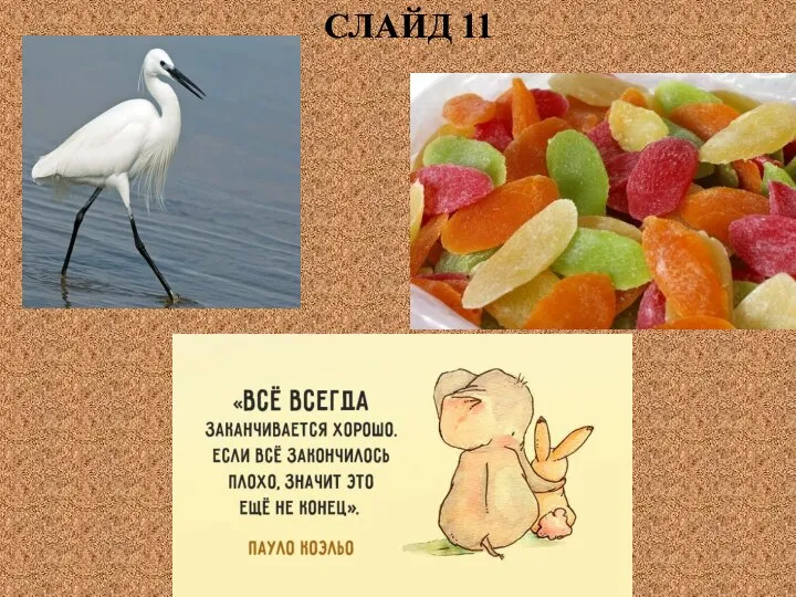 СЛАЙД 11