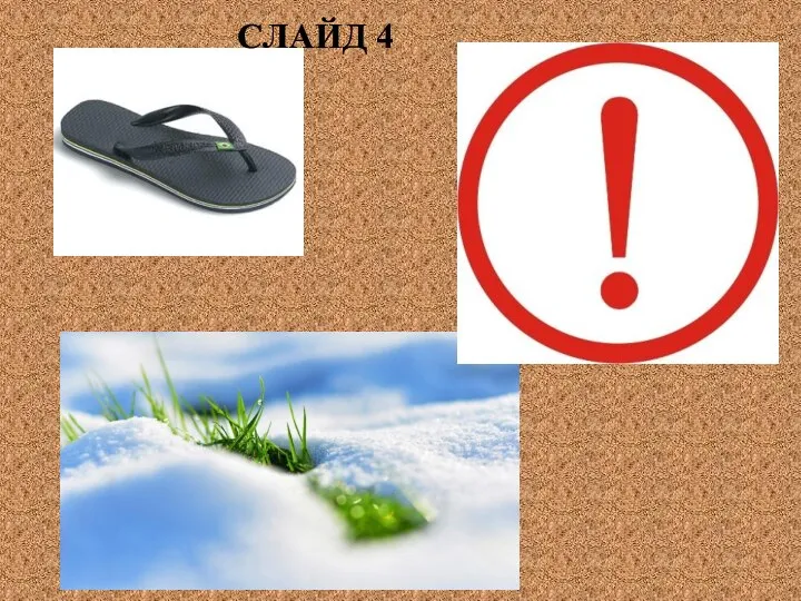 СЛАЙД 4