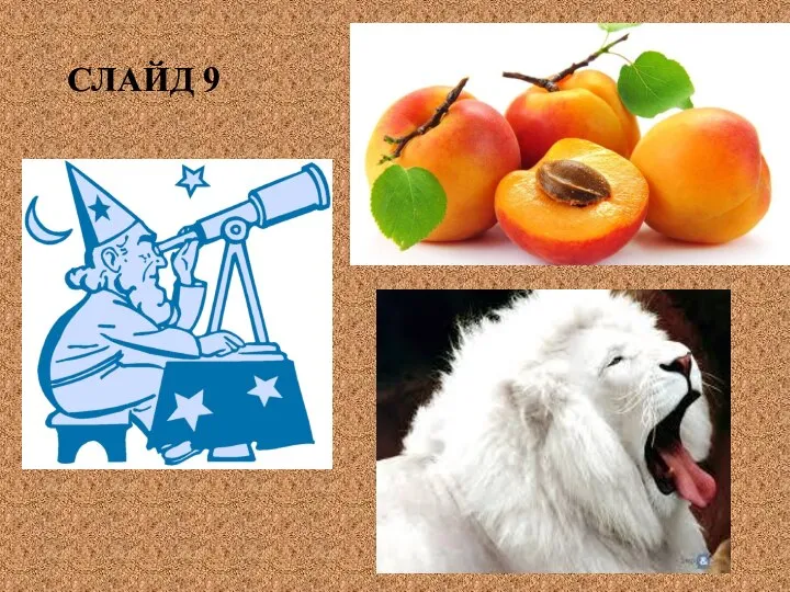 СЛАЙД 9