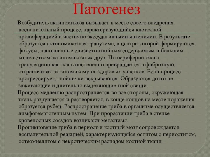 Патогенез Возбудитель актиномикоза вызывает в месте своего внедрения воспалительный процесс, характеризующийся