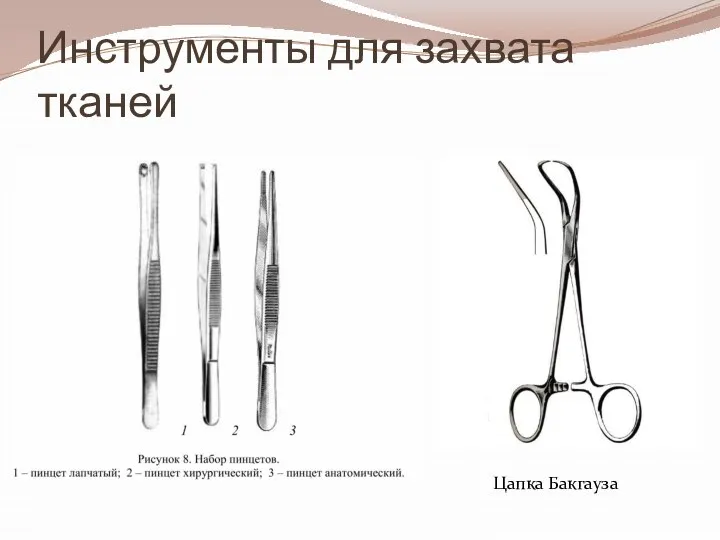 Инструменты для захвата тканей Цапка Бакгауза