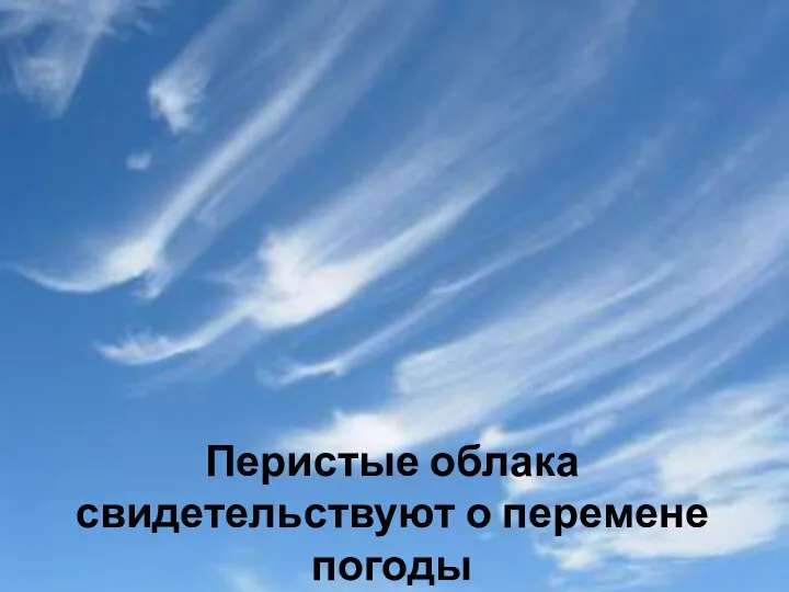 Перистые облака свидетельствуют о перемене погоды