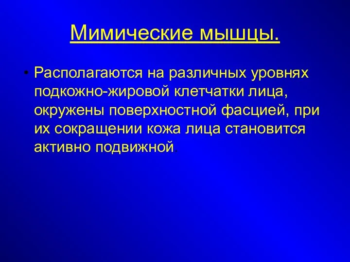 Мимические мышцы. Располагаются на различных уровнях подкожно-жировой клетчатки лица, окружены поверхностной