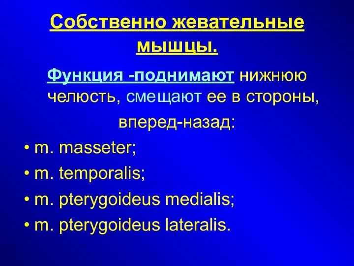 Собственно жевательные мышцы. Функция -поднимают нижнюю челюсть, смещают ее в стороны,