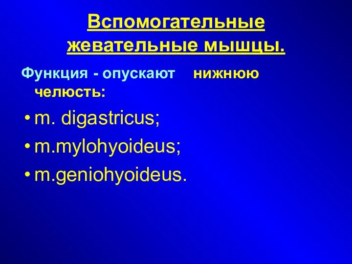 Вспомогательные жевательные мышцы. Функция - опускают нижнюю челюсть: m. digastricus; m.mylohyoideus; m.geniohyoideus.