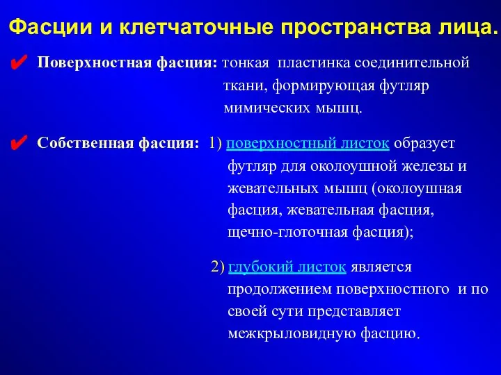 Фасции и клетчаточные пространства лица. Поверхностная фасция: тонкая пластинка соединительной ткани,