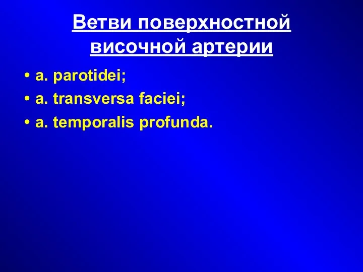 Ветви поверхностной височной артерии а. рarotidei; а. transversa faciei; а. temporalis profunda.