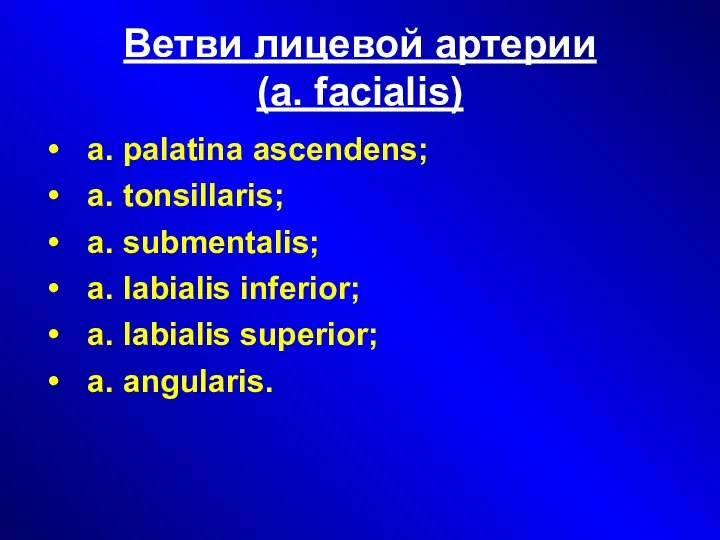 Ветви лицевой артерии (а. facialis)‏ а. palatina ascendens; а. tonsillaris; а.