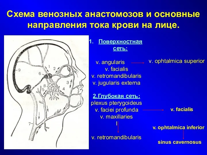 Схема венозных анастомозов и основные направления тока крови на лице. Поверхностная