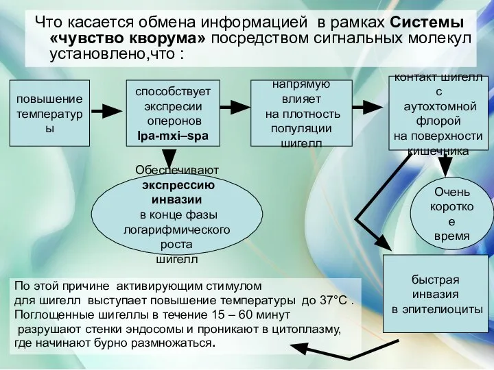 Что касается обмена информацией в рамках Системы «чувство кворума» посредством сигнальных