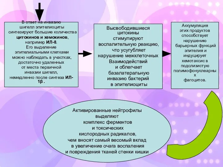 В ответ на инвазию шигелл эпителиоциты синтезируют большие количества цитокинов и