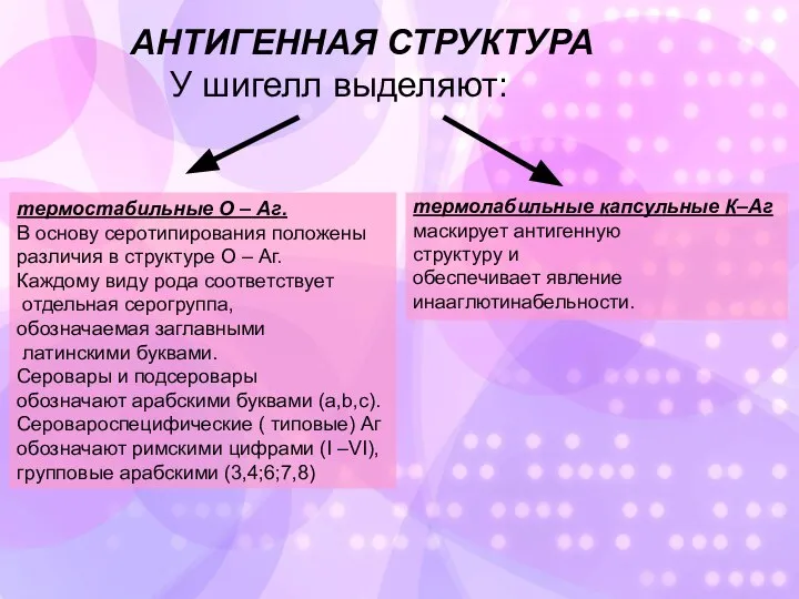 АНТИГЕННАЯ СТРУКТУРА У шигелл выделяют: термостабильные О – Aг. В основу