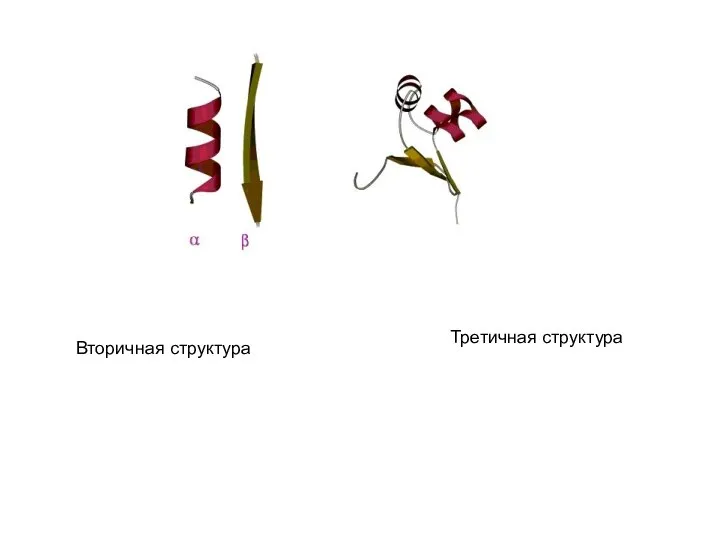 Вторичная структура Третичная структура