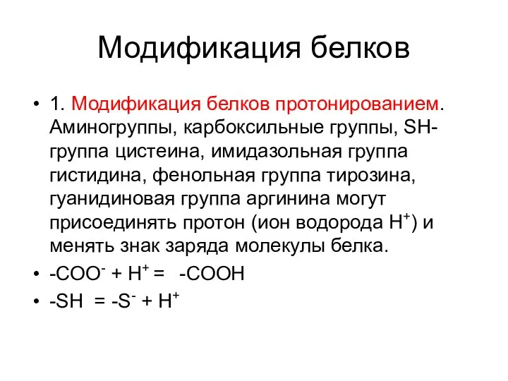 Модификация белков 1. Модификация белков протонированием. Аминогруппы, карбоксильные группы, SH- группа