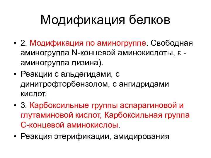 Модификация белков 2. Модификация по аминогруппе. Свободная аминогруппа N-концевой аминокислоты, ε