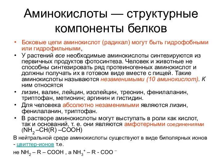 Аминокислоты — структурные компоненты белков Боковые цепи аминокислот (радикал) могут быть