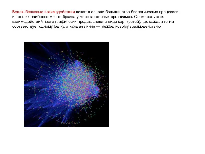 Белок–белковые взаимодействия лежат в основе большинства биологических процессов, и роль их