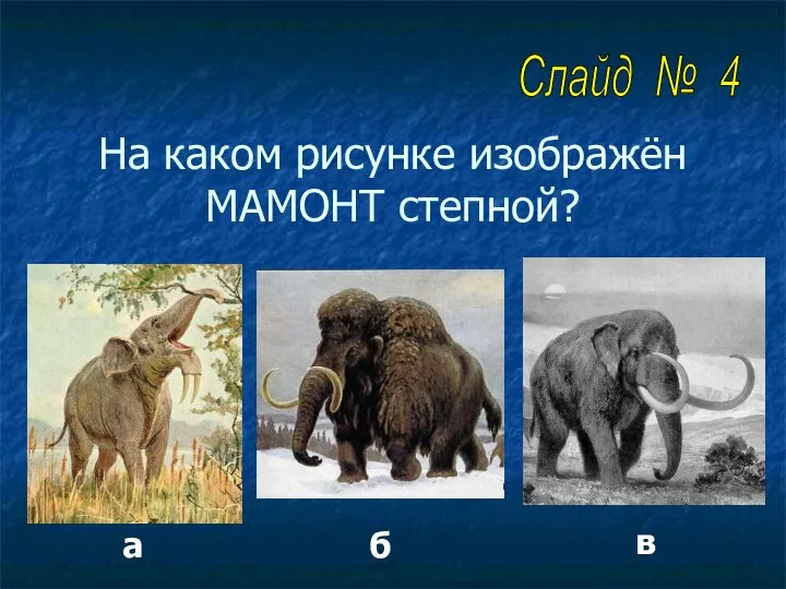 На каком рисунке изображён МАМОНТ степной? а б в Слайд № 4