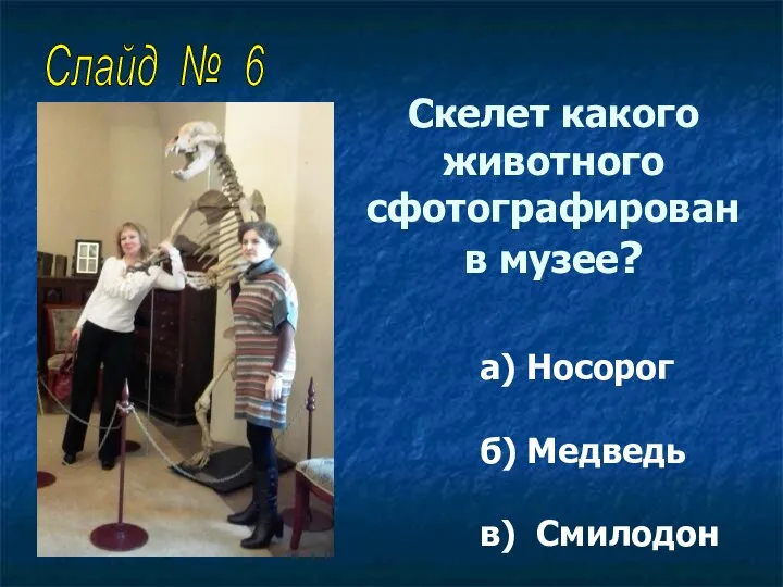 Скелет какого животного сфотографирован в музее? а) Носорог б) Медведь в) Смилодон Слайд № 6