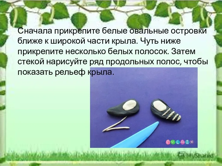 Сначала прикрепите белые овальные островки ближе к широкой части крыла. Чуть