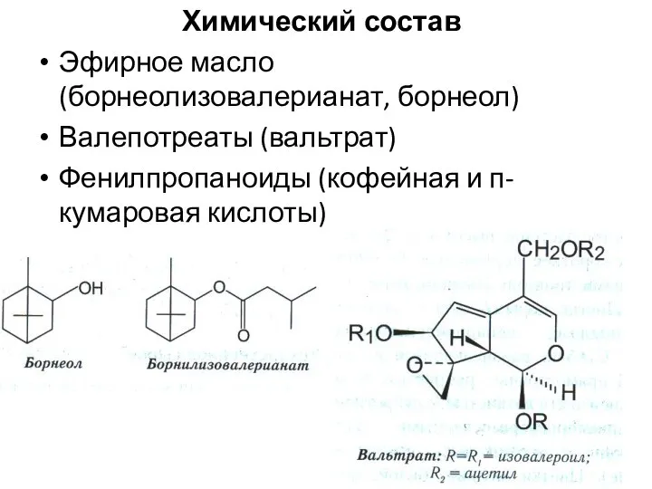 Химический состав Эфирное масло (борнеолизовалерианат, борнеол) Валепотреаты (вальтрат) Фенилпропаноиды (кофейная и п-кумаровая кислоты)