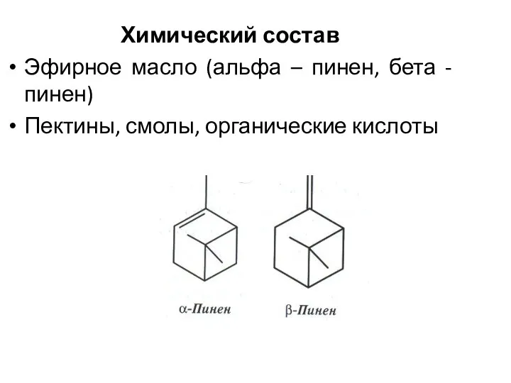 Химический состав Эфирное масло (альфа – пинен, бета - пинен) Пектины, смолы, органические кислоты