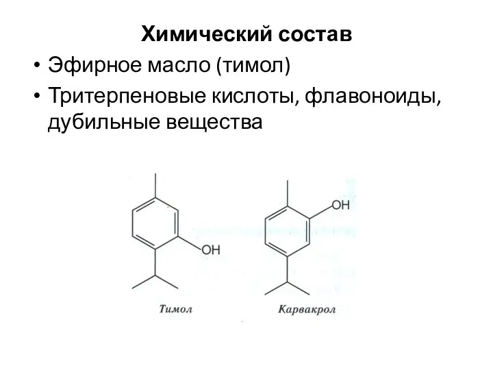 Химический состав Эфирное масло (тимол) Тритерпеновые кислоты, флавоноиды, дубильные вещества