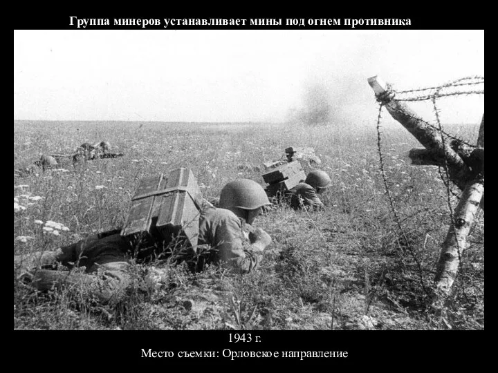 Группа минеров устанавливает мины под огнем противника 1943 г. Место съемки: Орловское направление