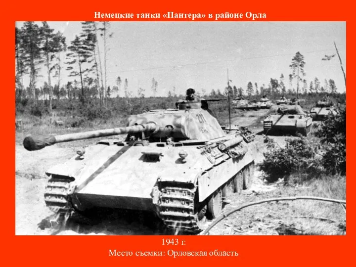 Немецкие танки «Пантера» в районе Орла 1943 г. Место съемки: Орловская область