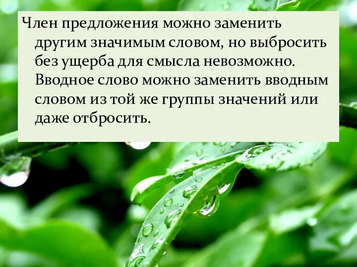 Член предложения можно заменить другим значимым словом, но выбросить без ущерба