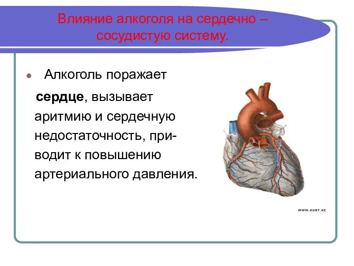 Влияние алкоголя на сердечно – сосудистую систему. Алкоголь поражает сердце, вызывает