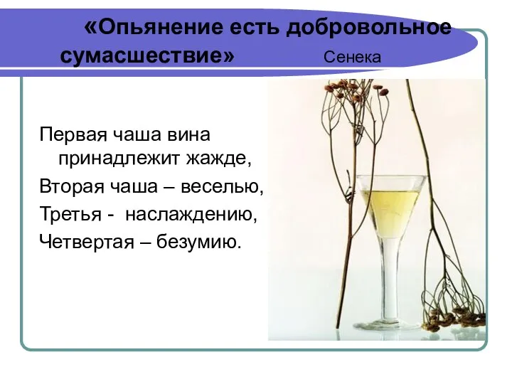 «Опьянение есть добровольное сумасшествие» Сенека Первая чаша вина принадлежит жажде, Вторая