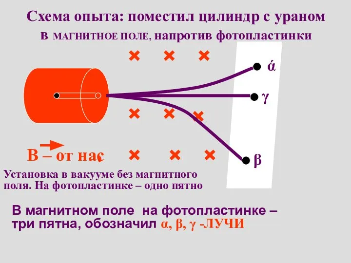 Схема опыта: поместил цилиндр с ураном в МАГНИТНОЕ ПОЛЕ, напротив фотопластинки