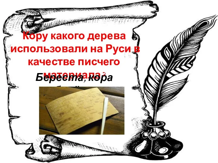 Кору какого дерева использовали на Руси в качестве писчего материала? Береста, кора берёзы