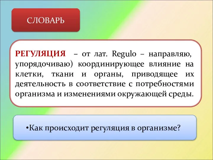 СЛОВАРЬ РЕГУЛЯЦИЯ – от лат. Regulo – направляю, упорядочиваю) координирующее влияние