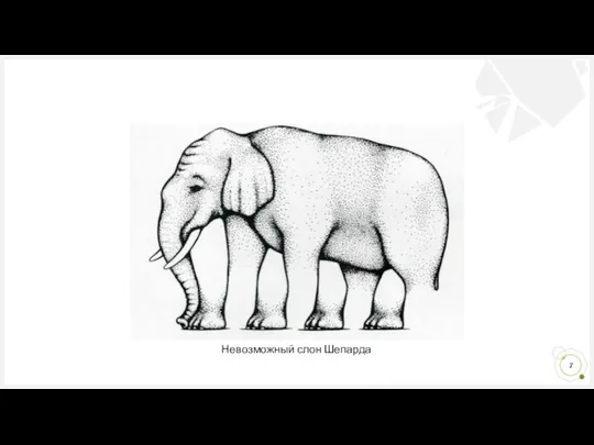 Невозможный слон Шепарда